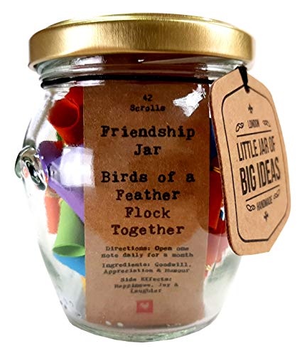 Little Jar of Big Ideas Barattolo con frasi a tema “amicizia”, con scritta Friendship Jar - Birds of a Feather Flock Together, artigianale